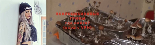 крисы Алзамай