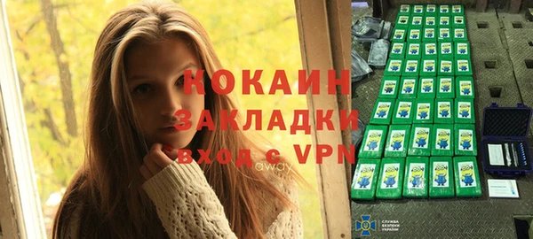 крисы Алзамай